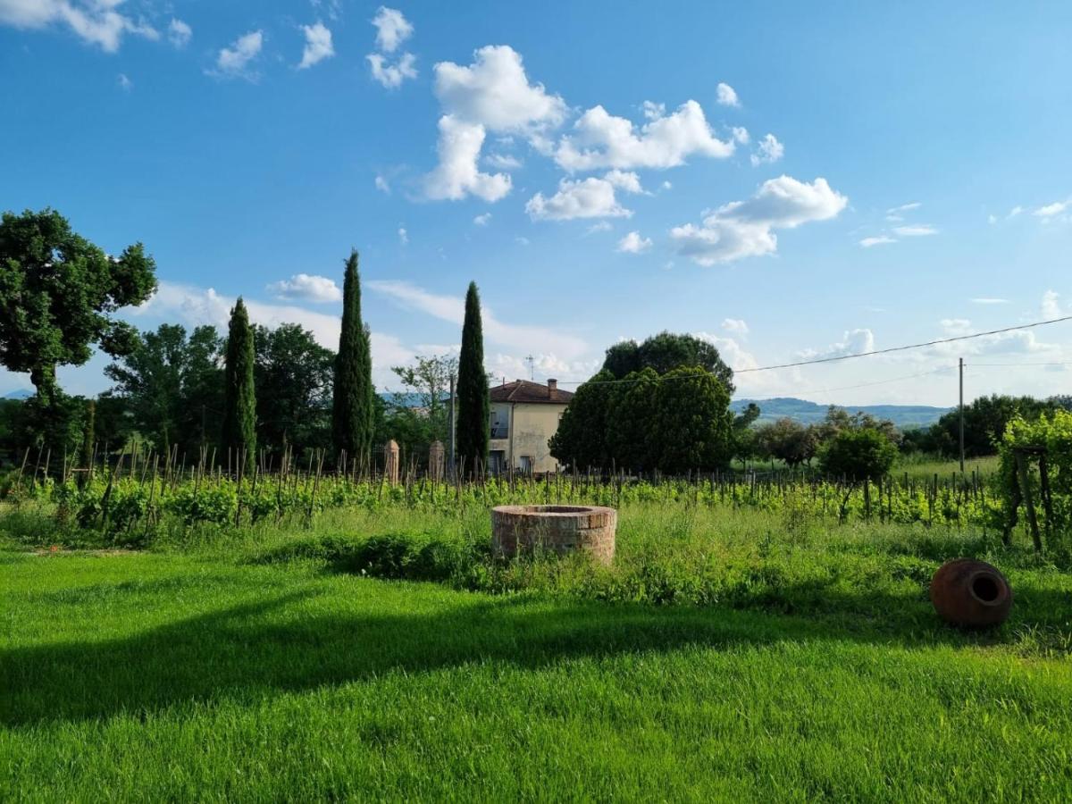Апартаменти Fornace Del Conte Abbadia di Montepulciano Екстер'єр фото