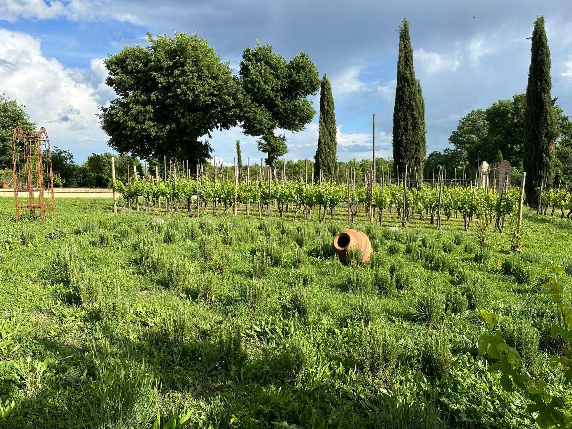 Апартаменти Fornace Del Conte Abbadia di Montepulciano Екстер'єр фото