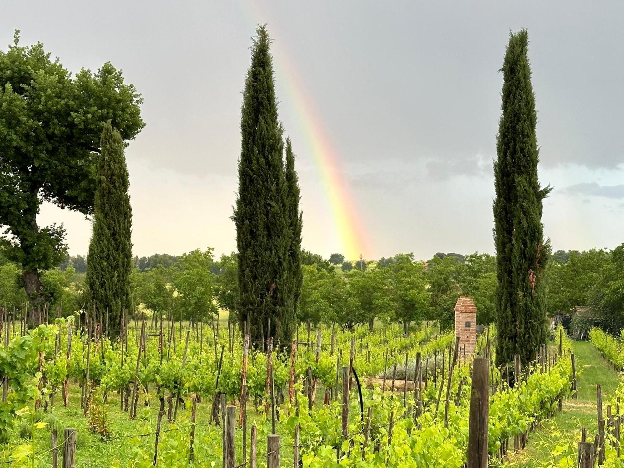Апартаменти Fornace Del Conte Abbadia di Montepulciano Екстер'єр фото